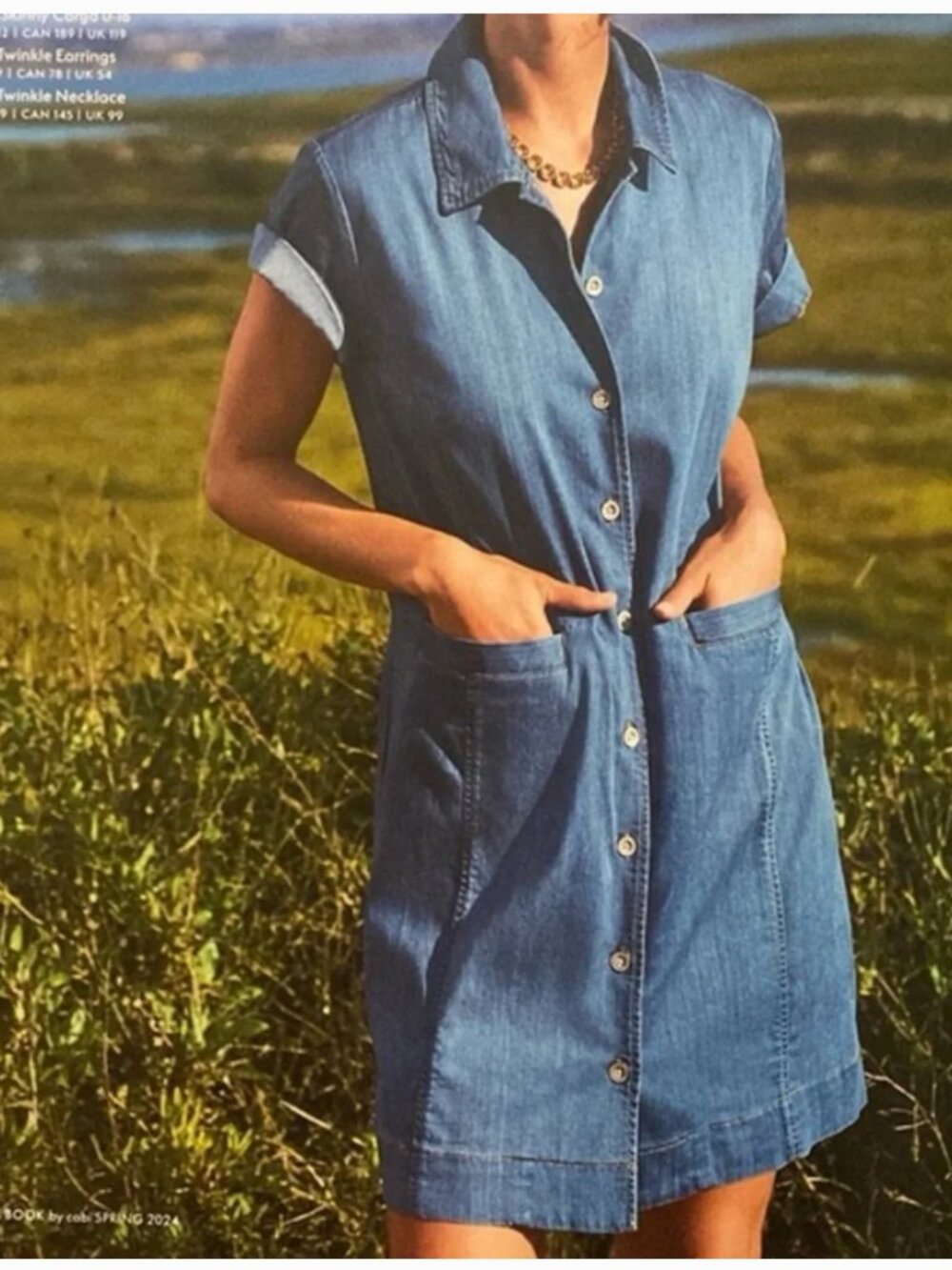 Cabi Piece of Cake Blue Chambray Denim Button Front Mini Dress Size Small 6580